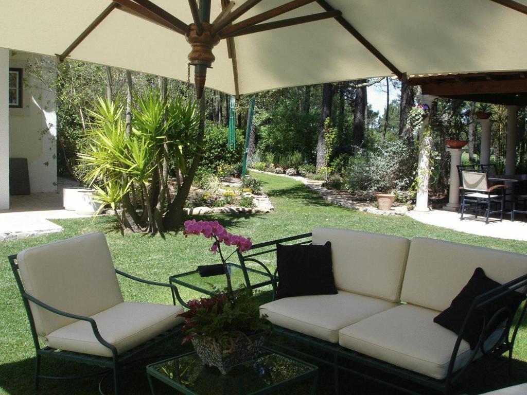 Oasis 3*