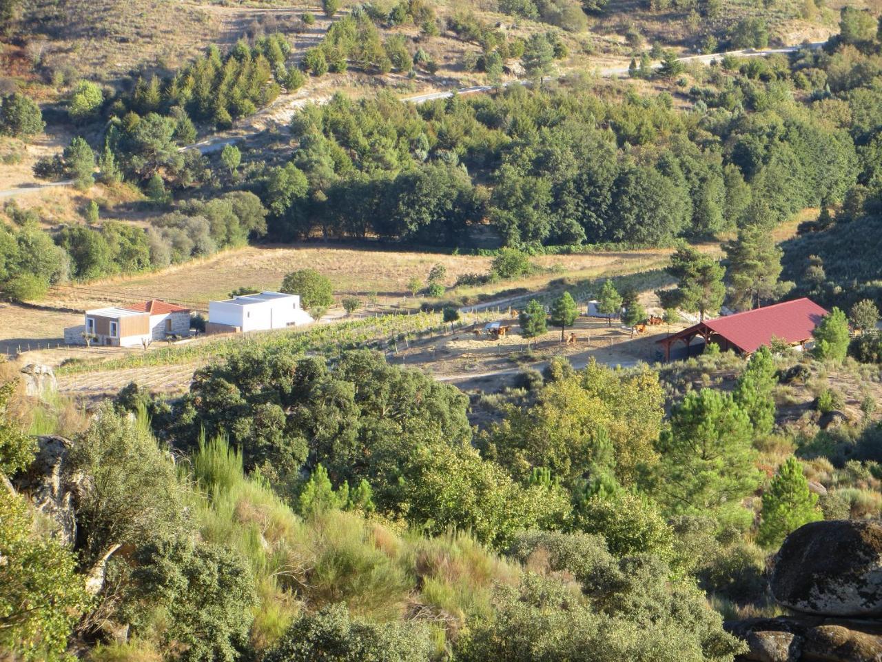 Quinta Vale Da Prata Farm stay Celorico Da Beira