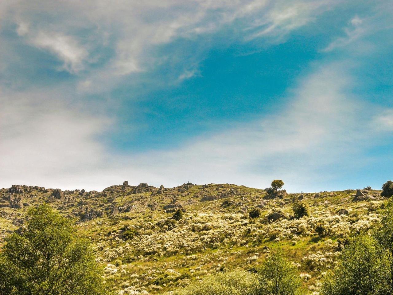 Quinta Vale Da Prata Farm stay *