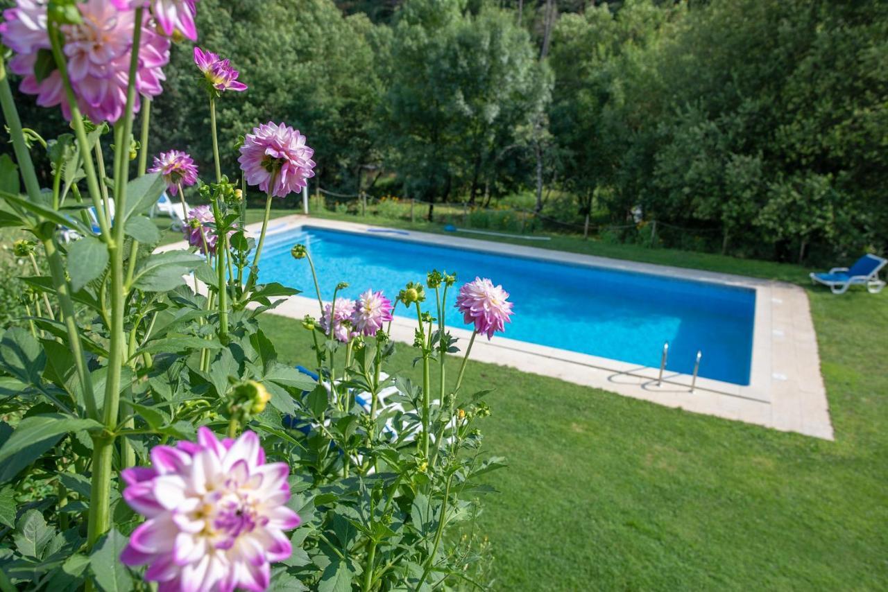 Quinta Da Rabacosa - Farm stay Castro Daire