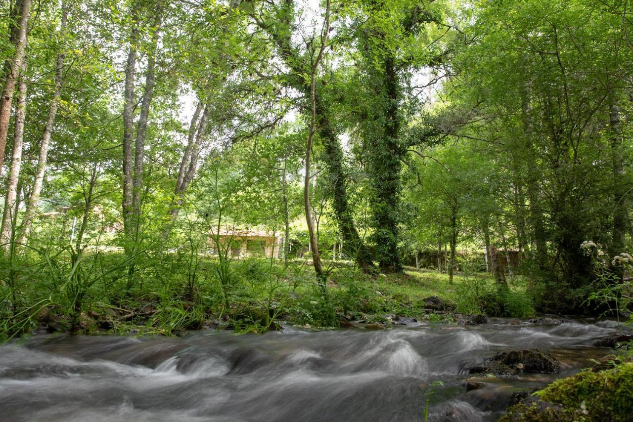 Farm stay Quinta Da Rabacosa -