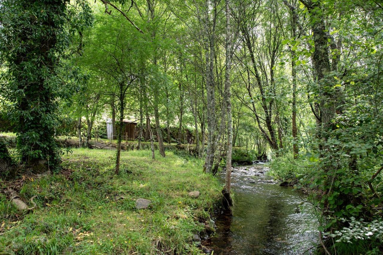 Quinta Da Rabacosa - Farm stay