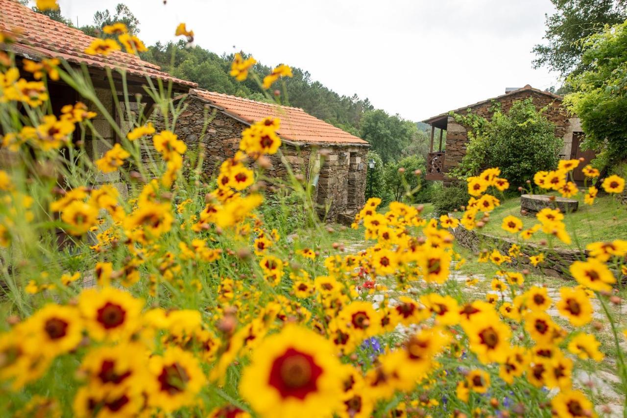 Quinta Da Rabacosa - Farm stay *