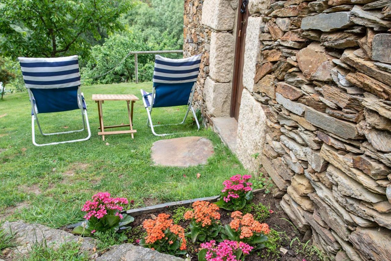 Quinta Da Rabacosa - Farm stay *