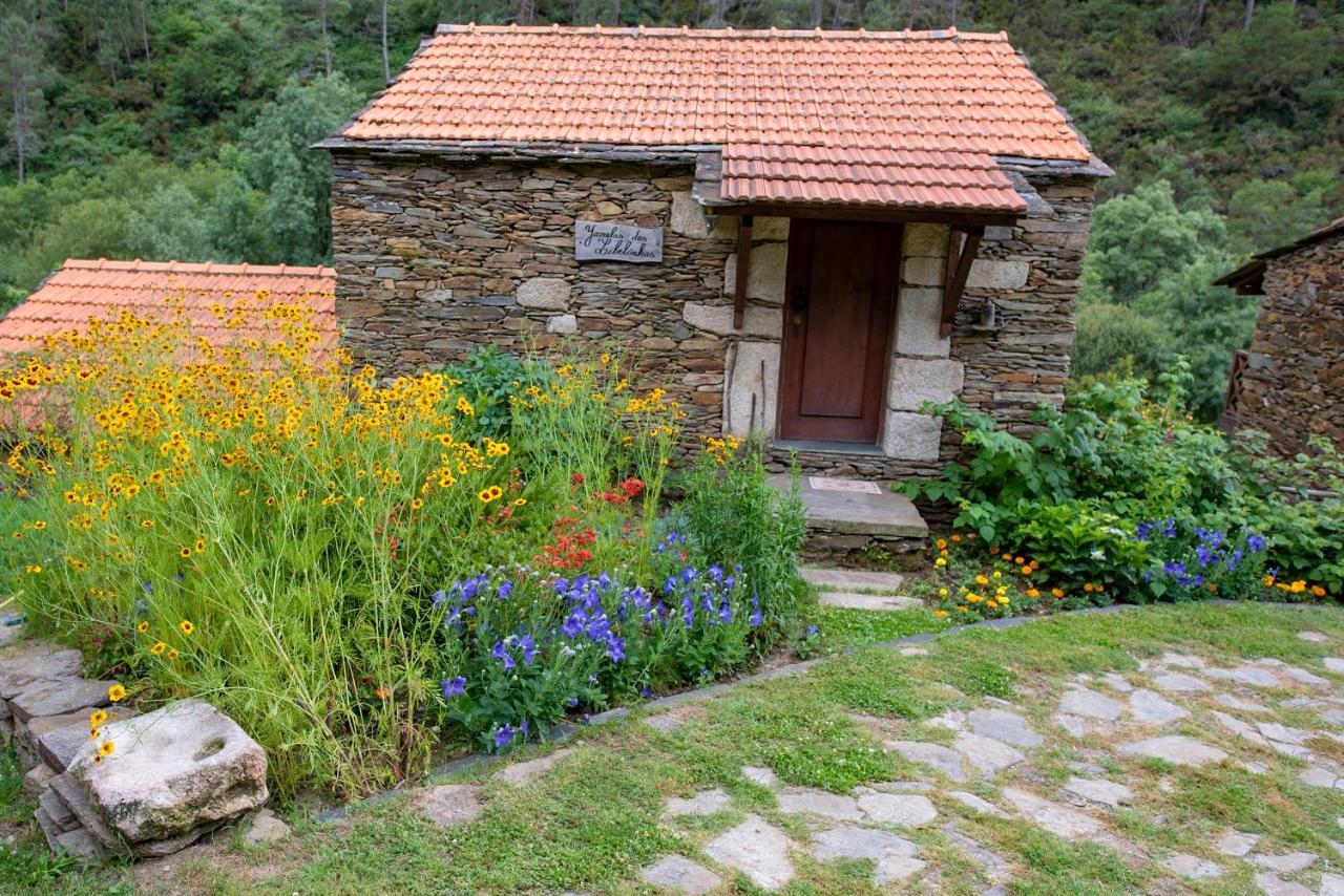 Quinta Da Rabacosa - Farm stay