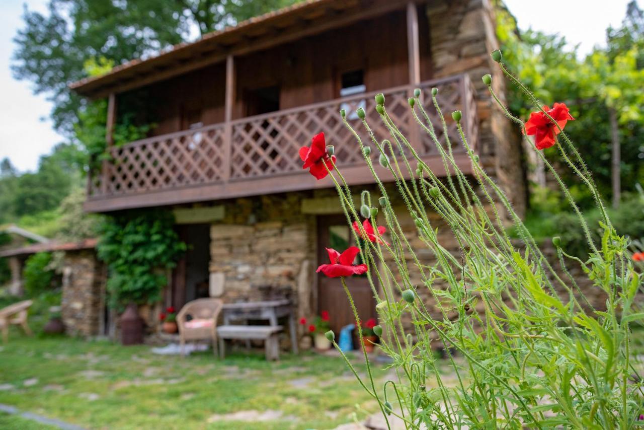 Quinta Da Rabacosa - Farm stay Castro Daire
