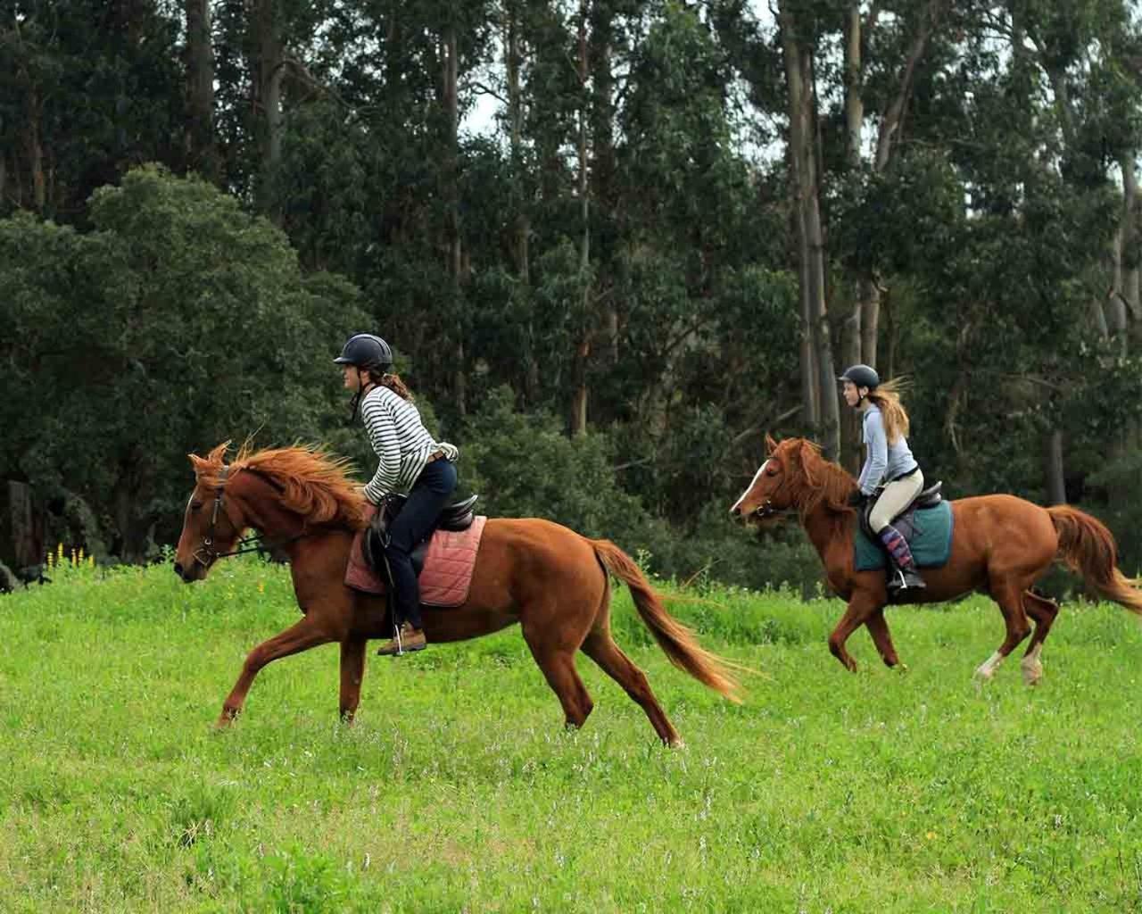 Farm stay Quinta Pedagogica Da Samoqueirinha - Duna Parque &