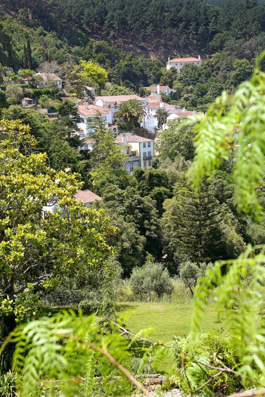 Apartamento Eugaria By Lost Lisbon Sintra