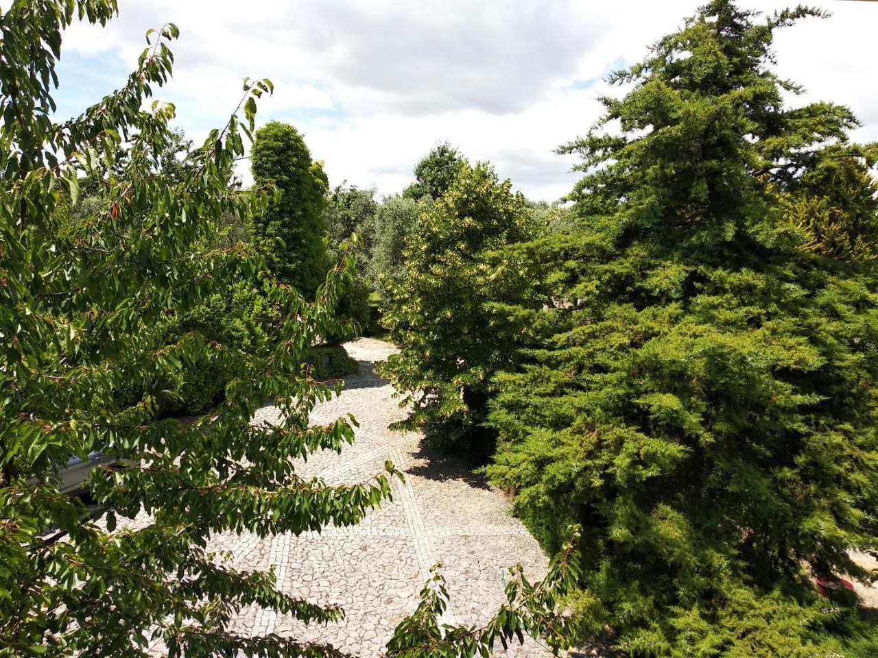 Quinta Da Telheira Vila Real