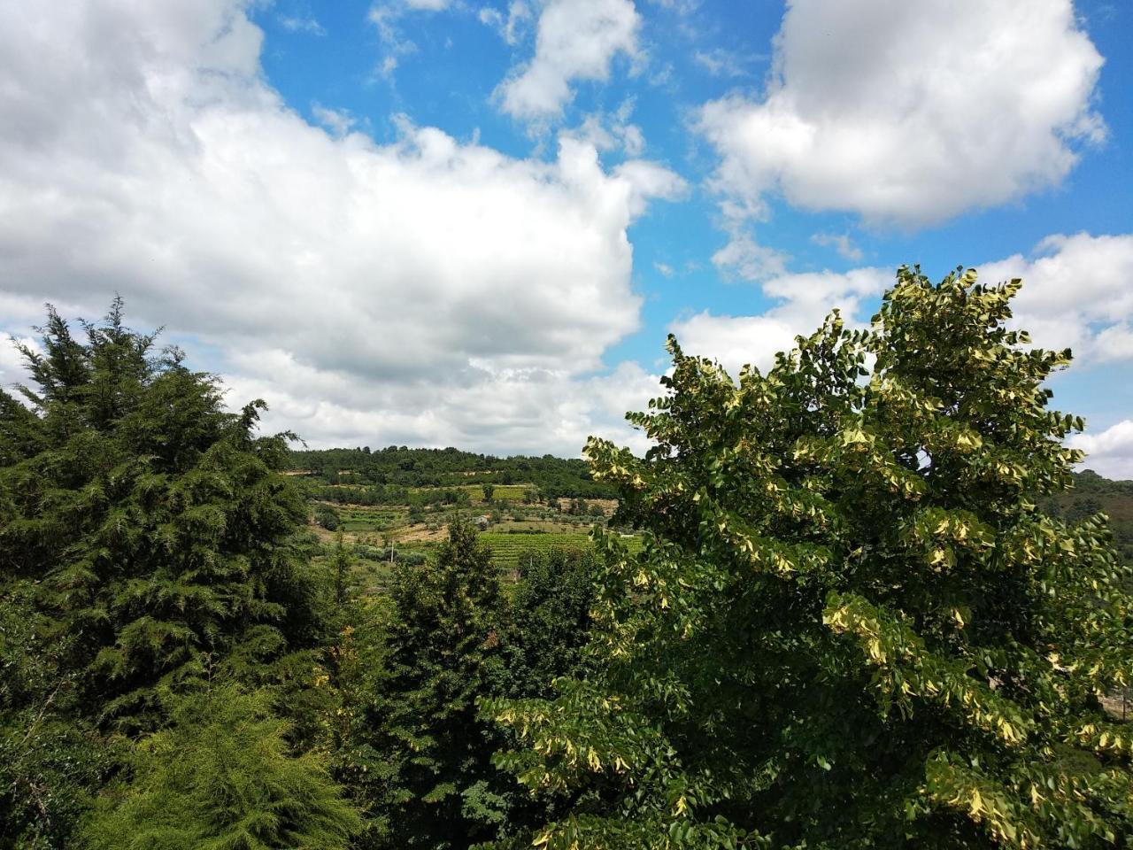 Guest house Quinta Da Telheira 3*