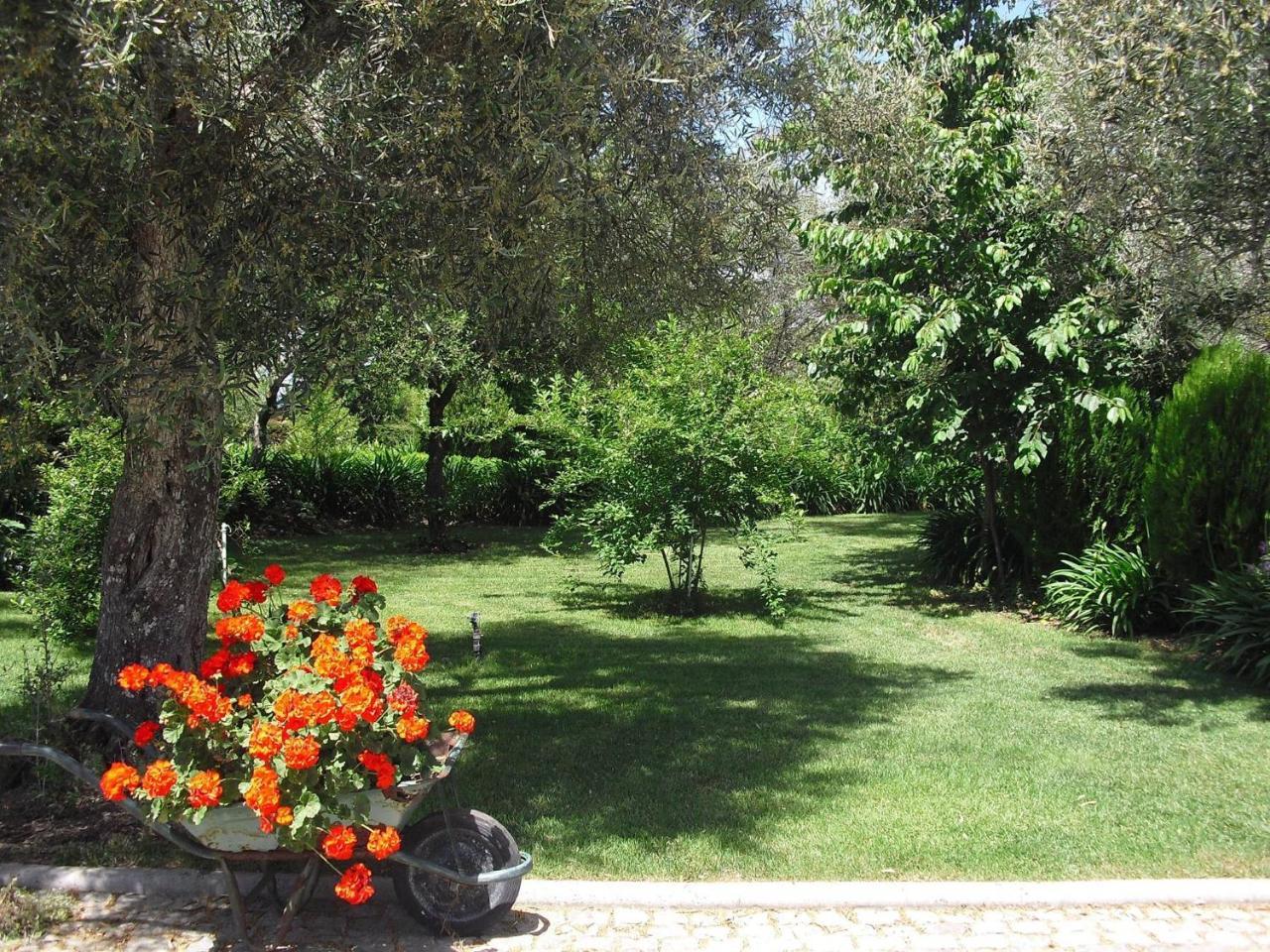 Guest house Quinta Da Telheira Vila Real