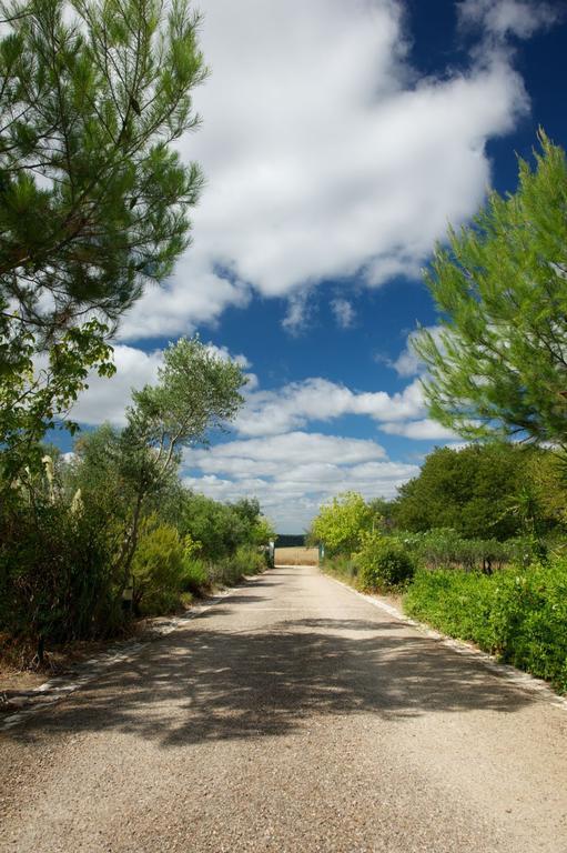 Monte Paraiso * Lavre