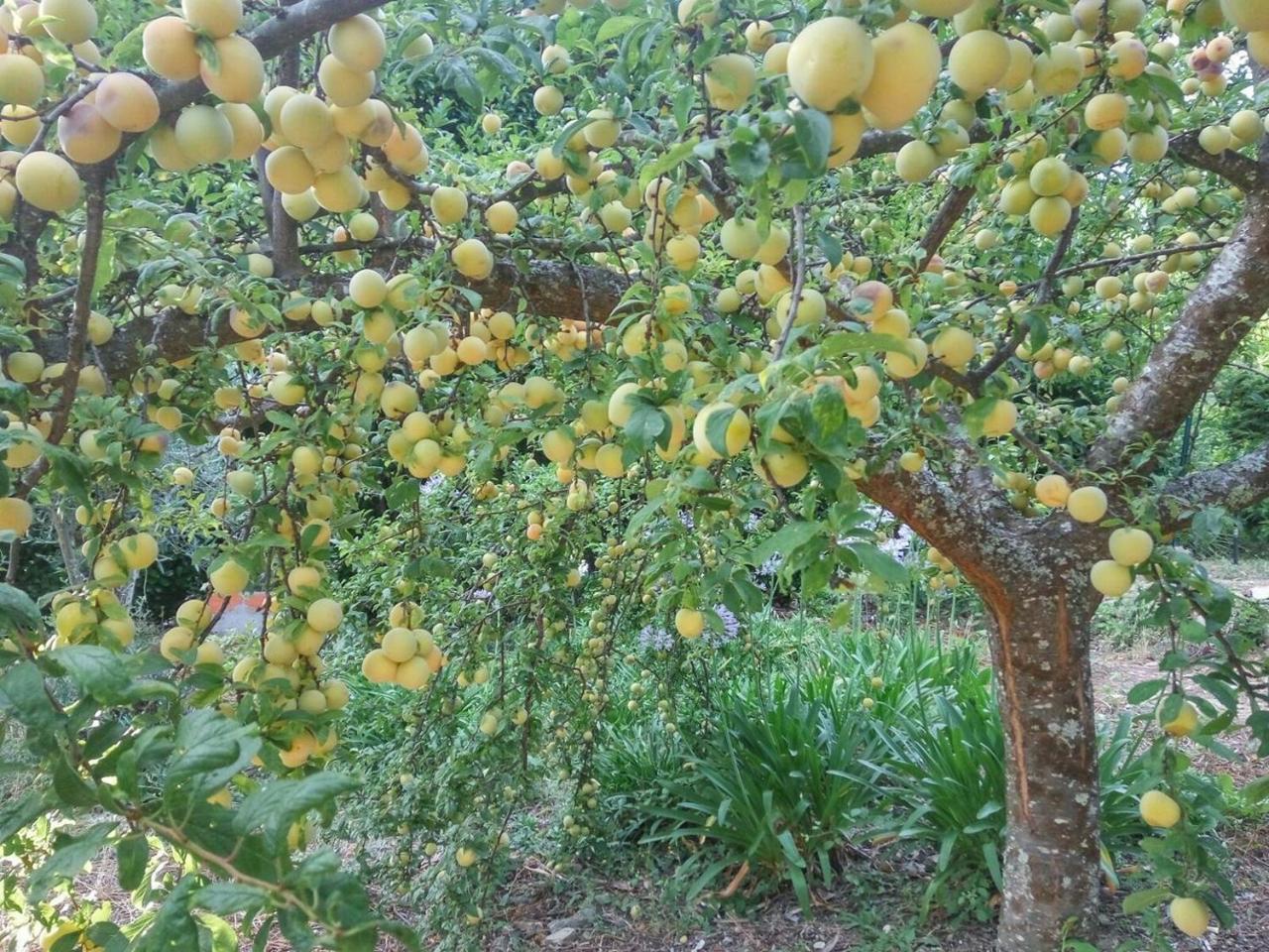 Quinta Da Telheira 3*