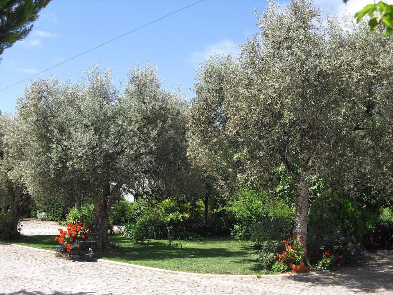 Quinta Da Telheira Guest house Vila Real