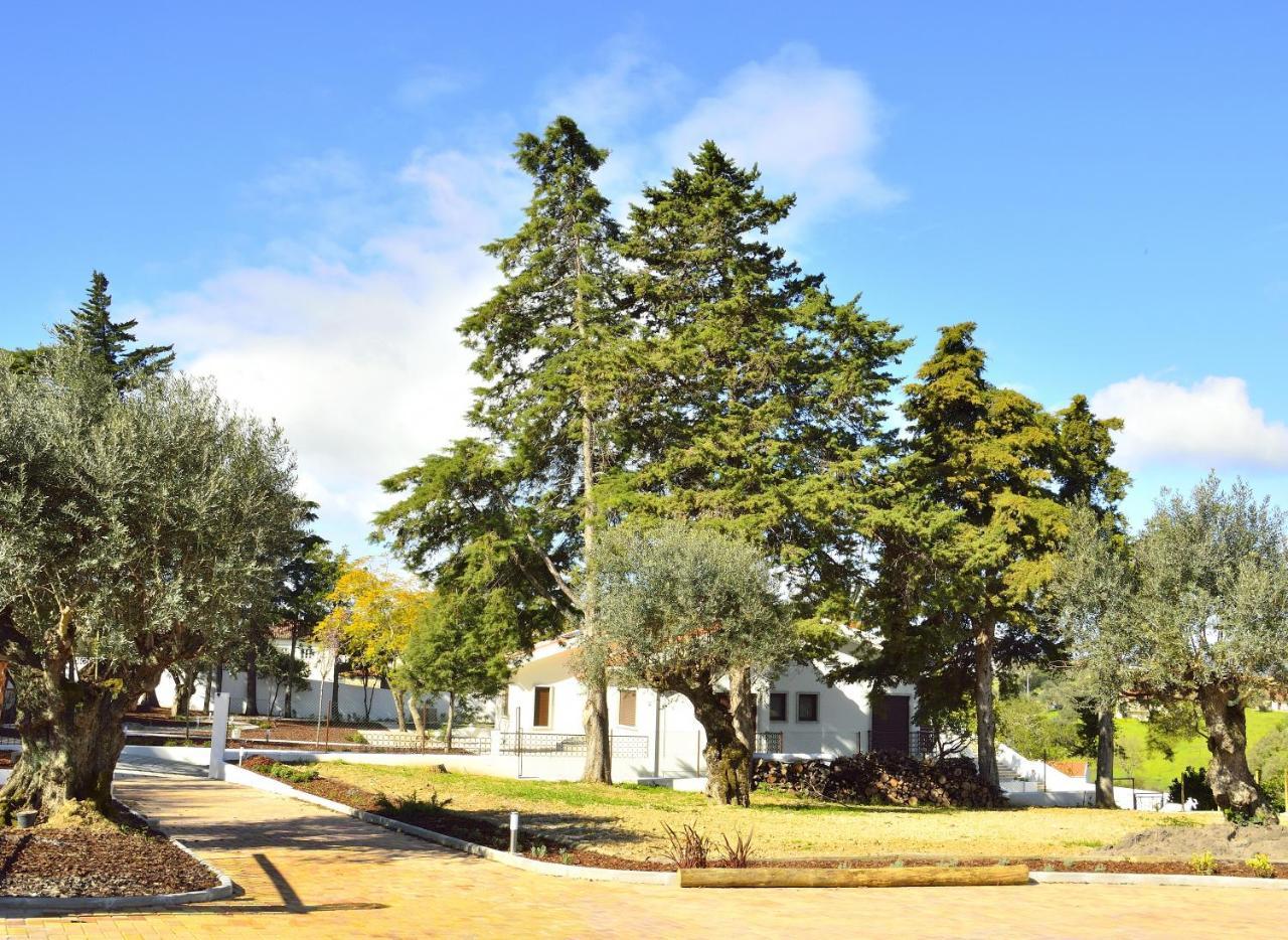 Aires Da Serra Torres Novas