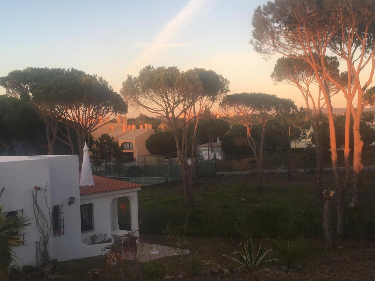 Villa Casa Camelia *