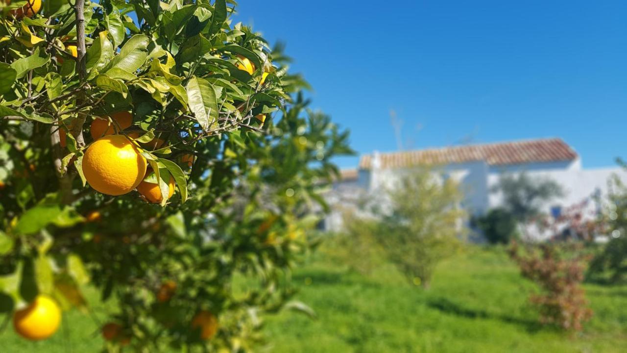 Farm stay Quinta Dos Cochichos Olhao