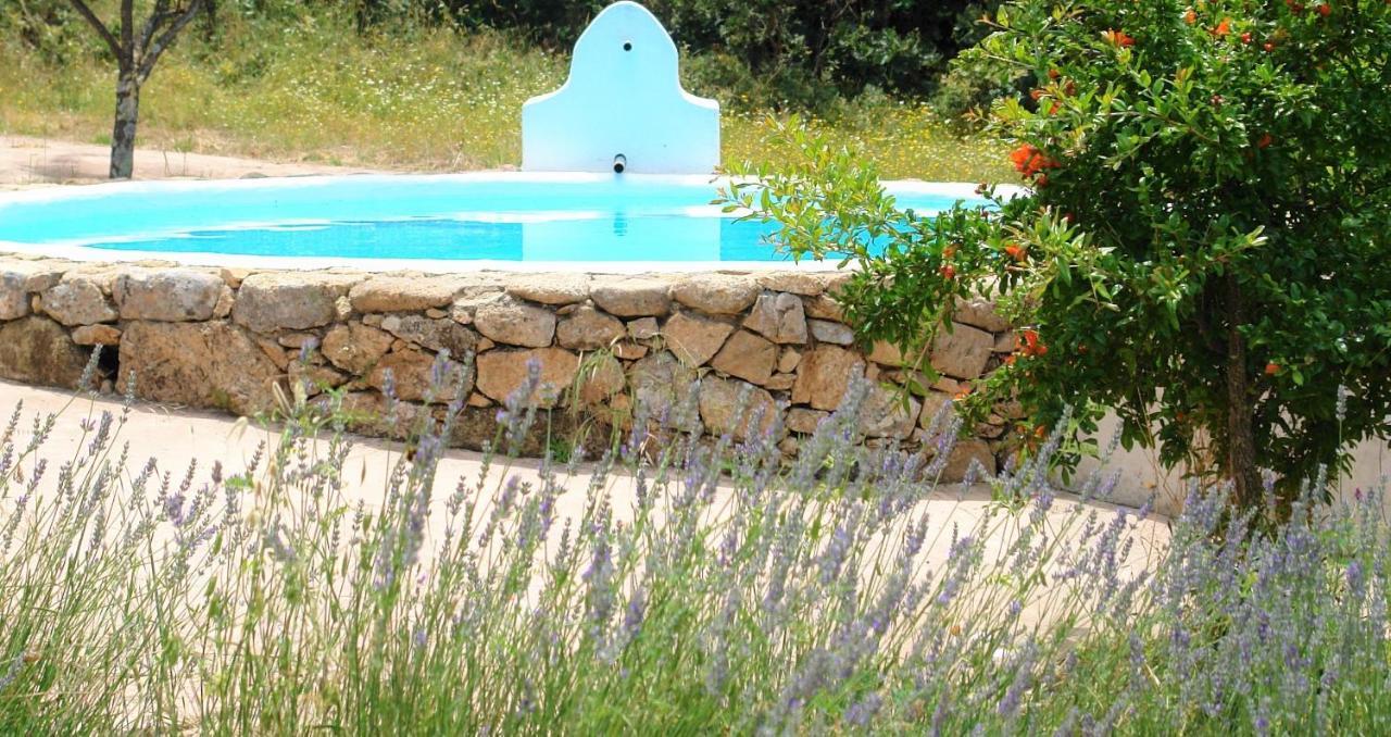 Quinta Do Marvao (Portalegre)