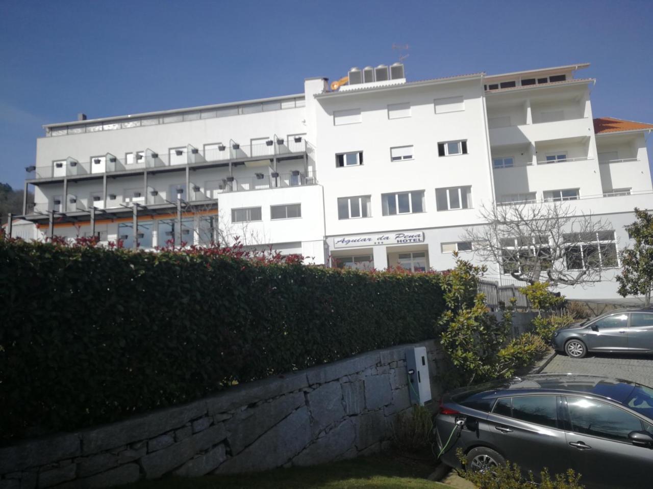 Aguiar Da Pena