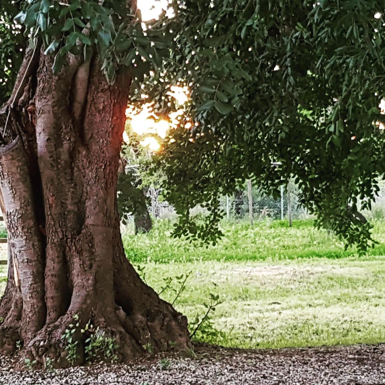 Quinta Dos Cochichos *