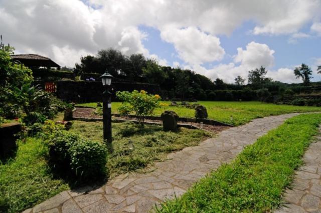 Villa Quinta Dos Afectos Sao Vicente Ferreira