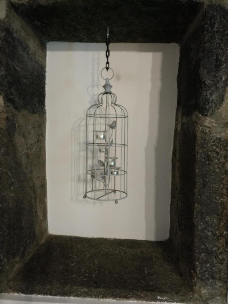 Quinta Dos Afectos Sao Vicente Ferreira