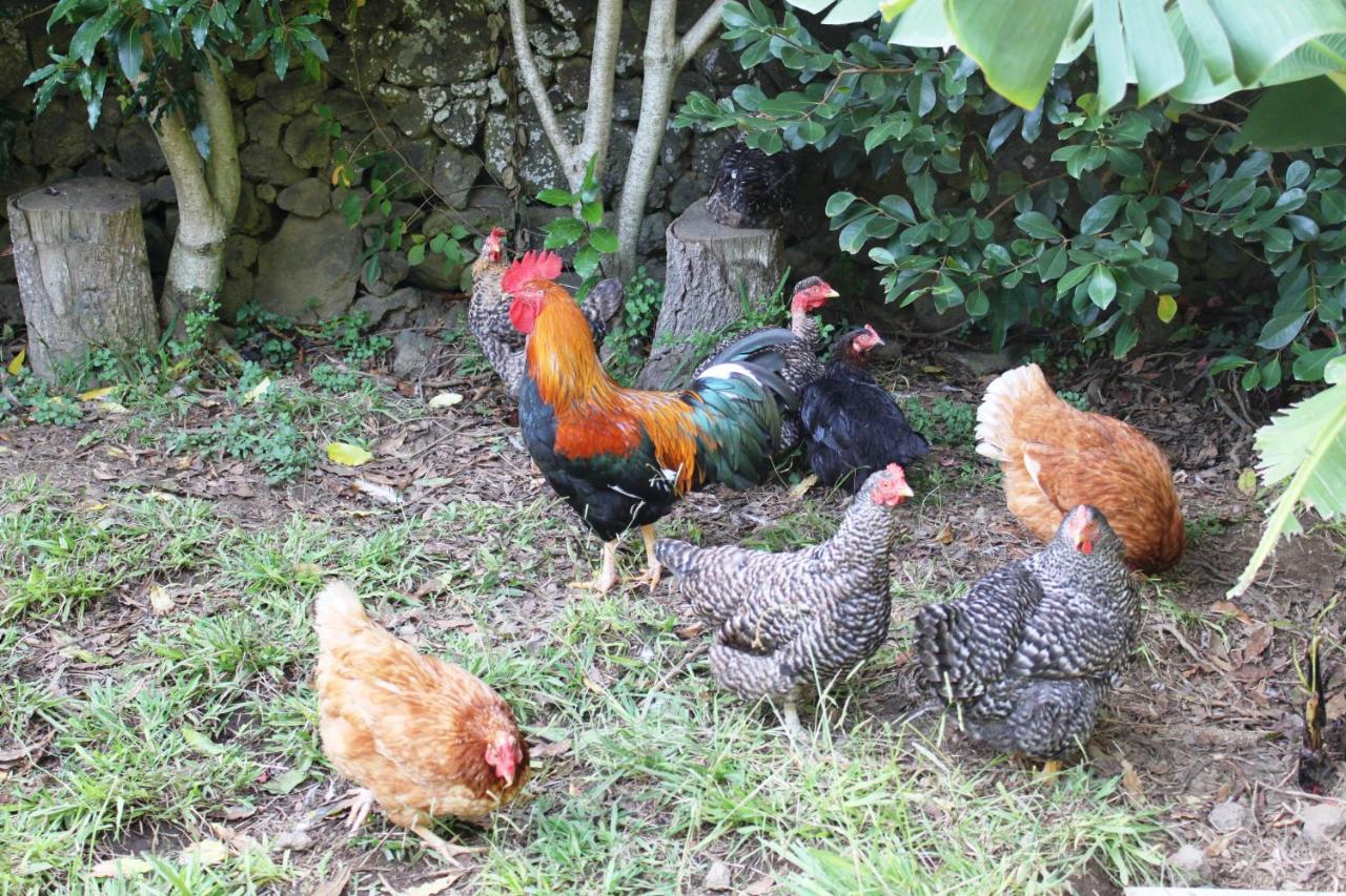 Quinta Dos Afectos