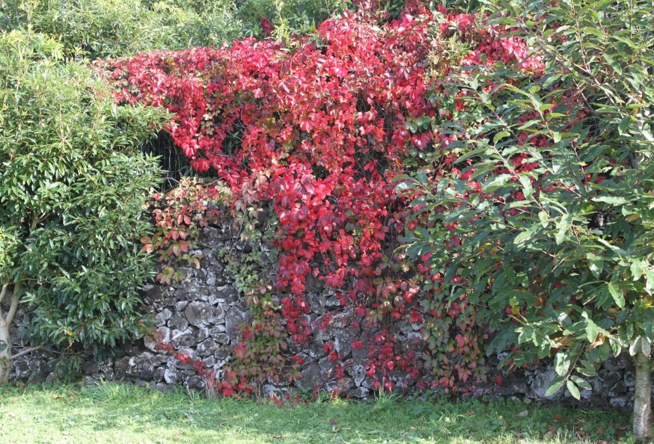 Quinta Dos Afectos Villa