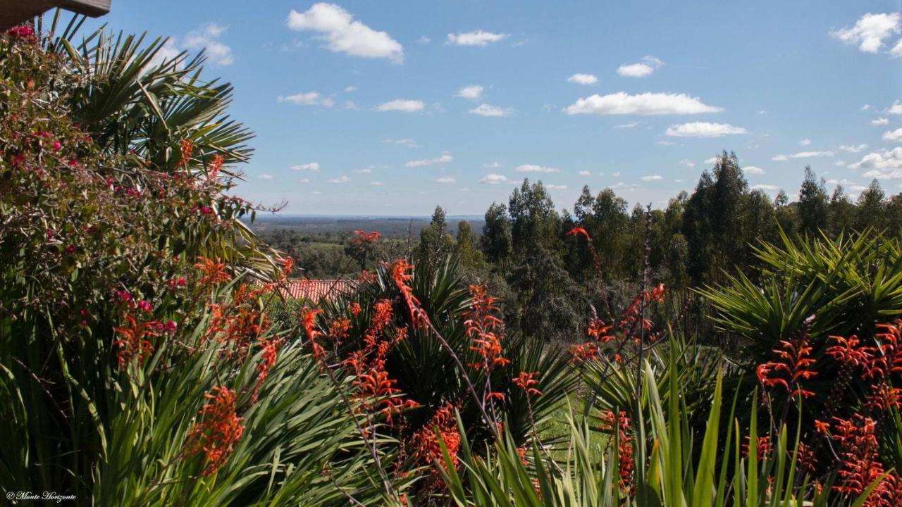 Monte Horizonte - The Private - Eco & Nature (adults Only) Holiday home *