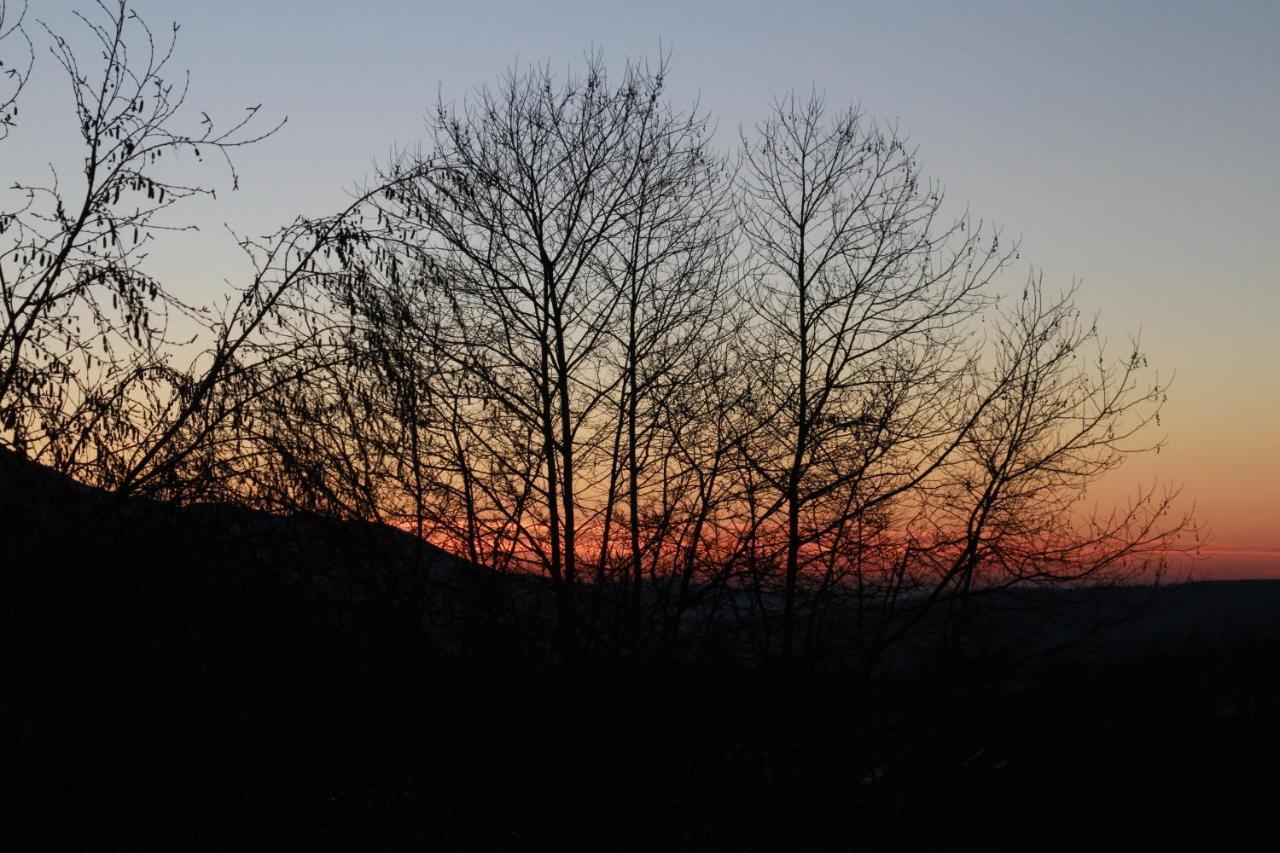 - Feel Nature Loriga