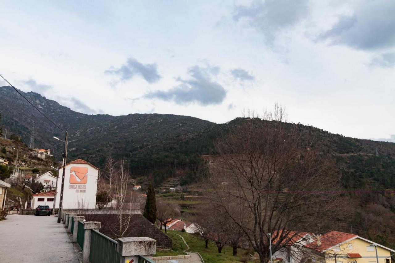 - Feel Nature Hostel