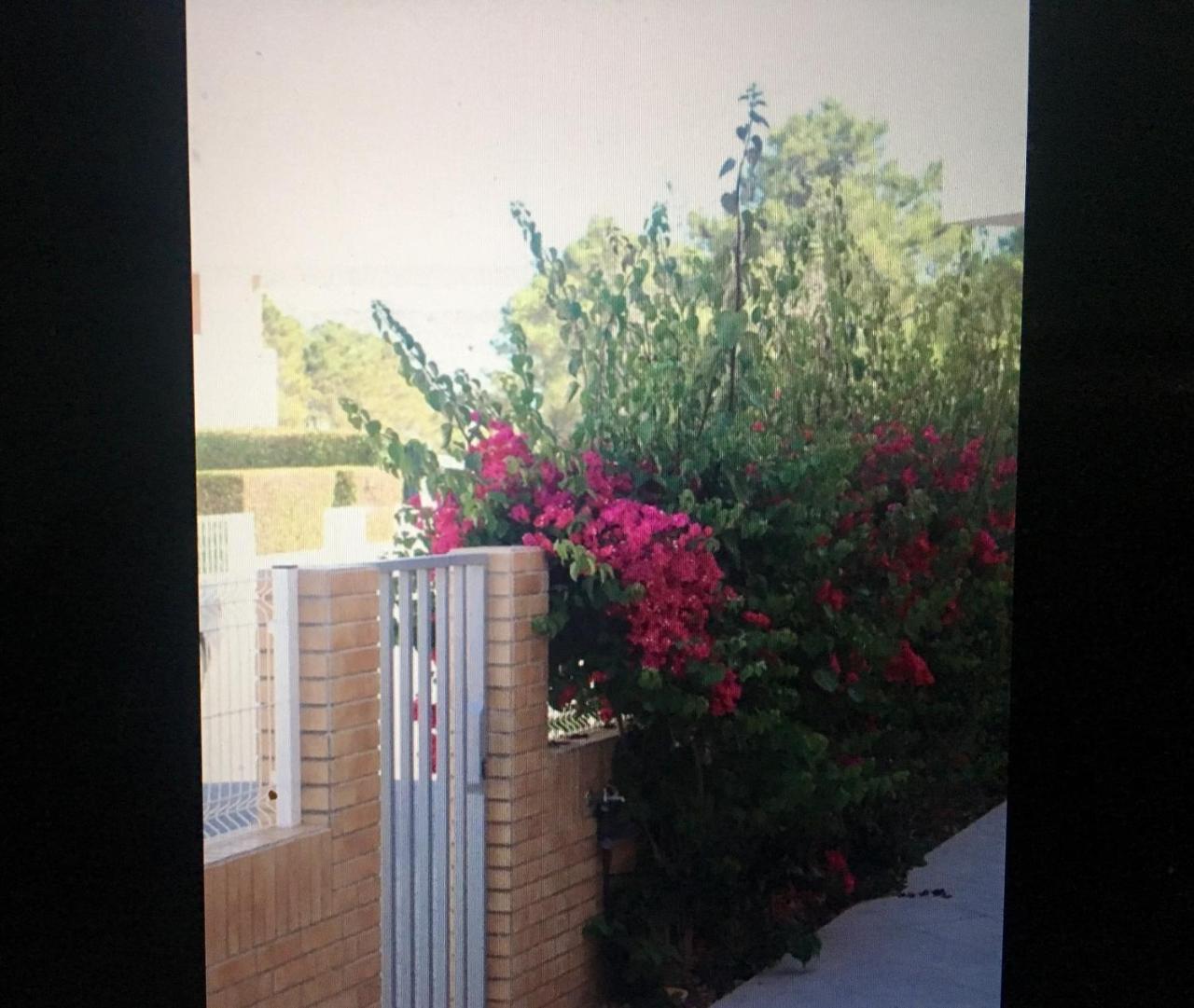 De 3 Et 6 Couchages Max. A Proximite De A Algarve * Monte Gordo