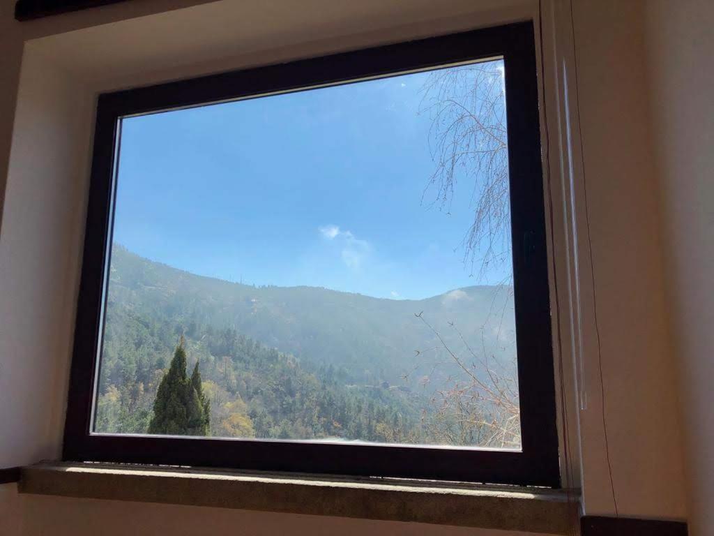 - Feel Nature Hostel