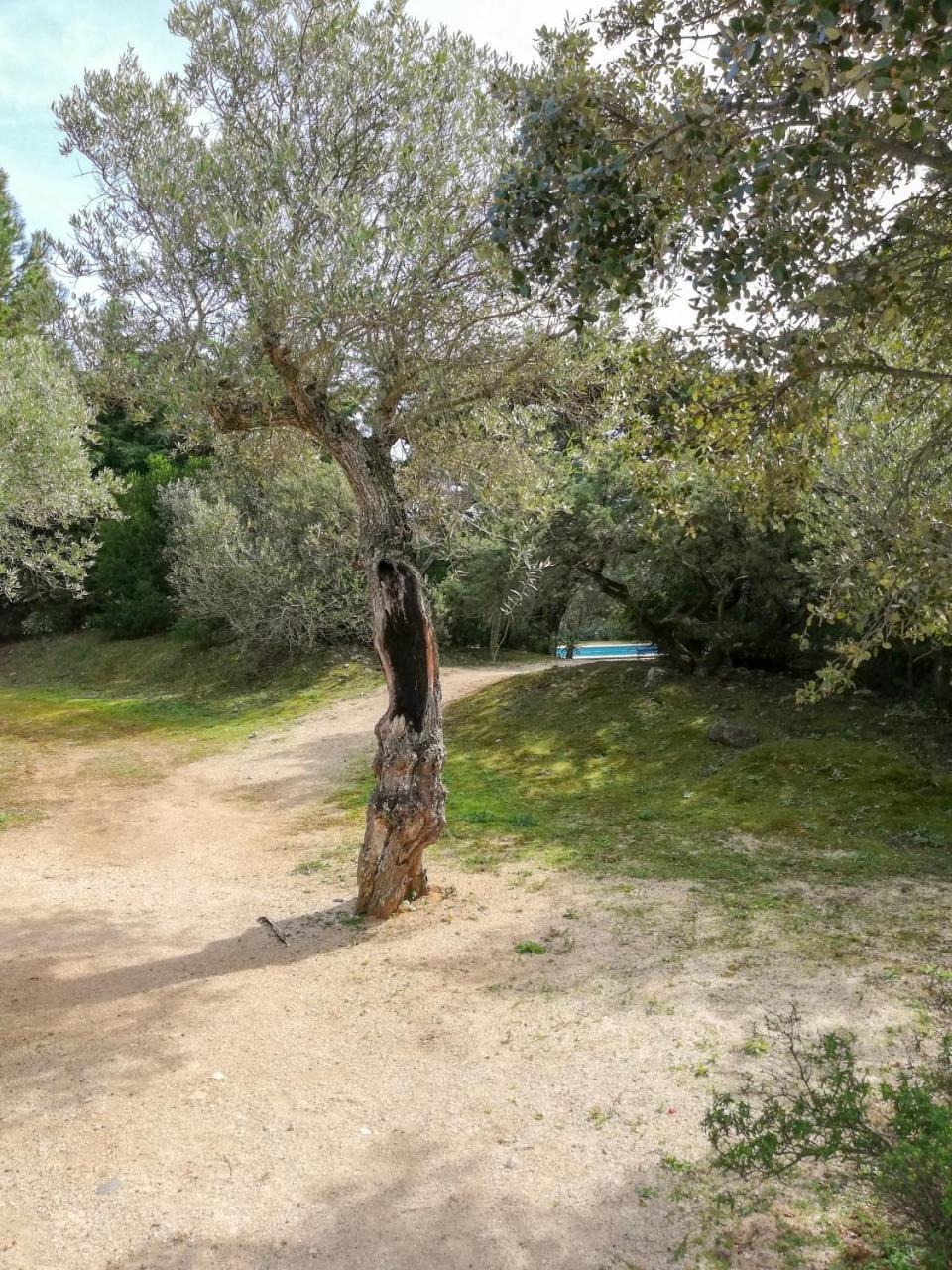 Guincho Sun Holiday home *