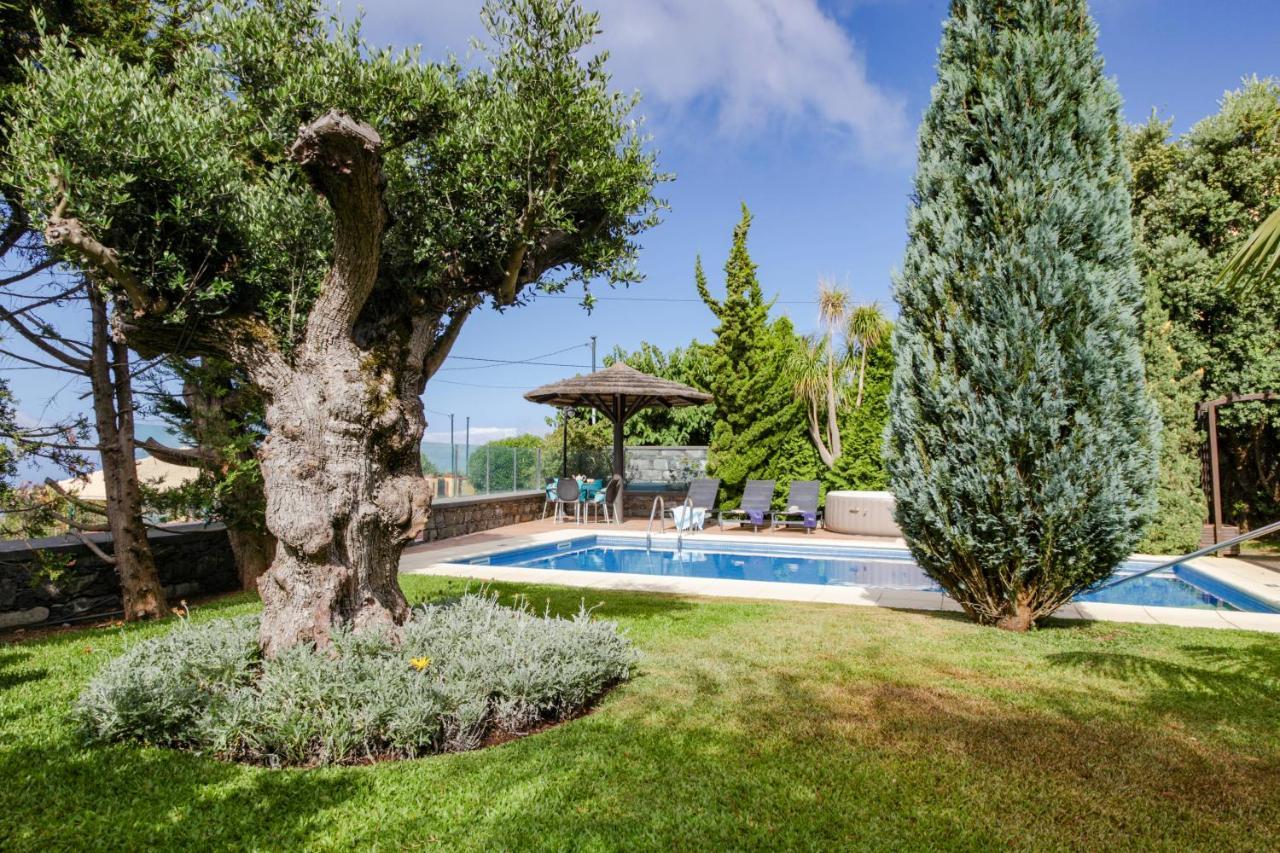Cris's By Ourmadeira Villa *