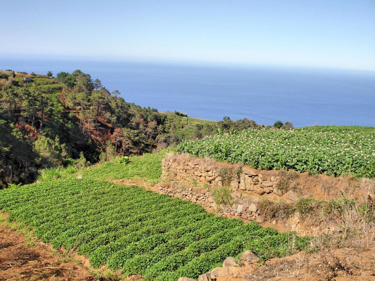 Ourmadeira - Theo's House, Secluded Apartment