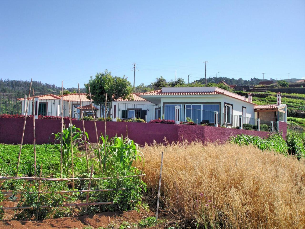 Ourmadeira - Theo's House, Secluded