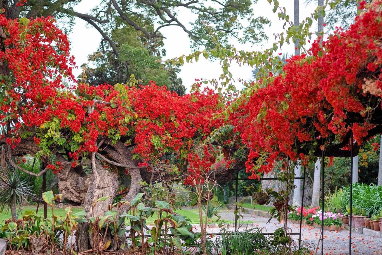 Ourmadeira - Loja Da Lenha, Charming