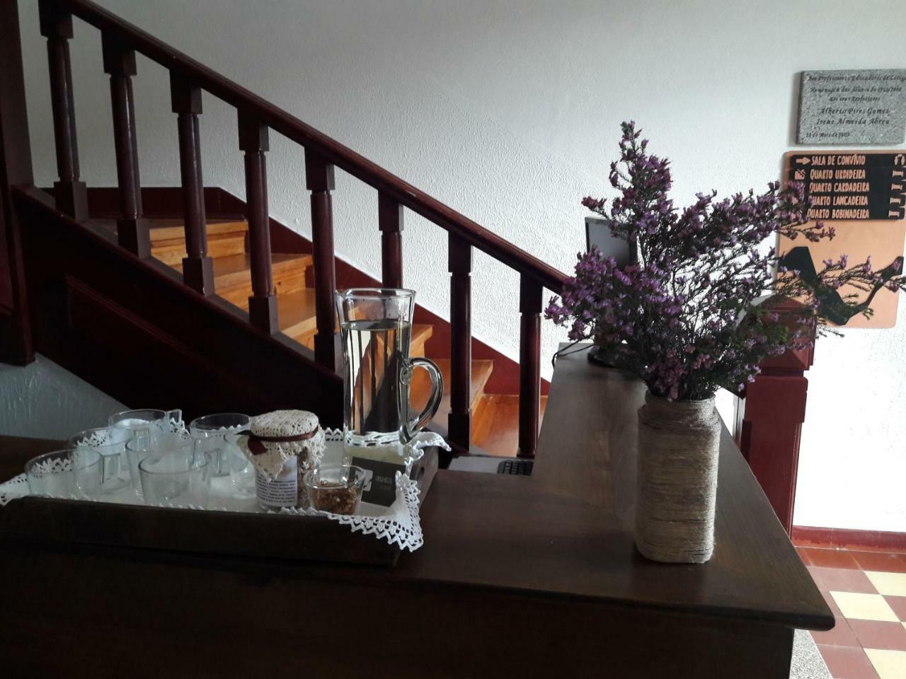 - Feel Nature Hostel *