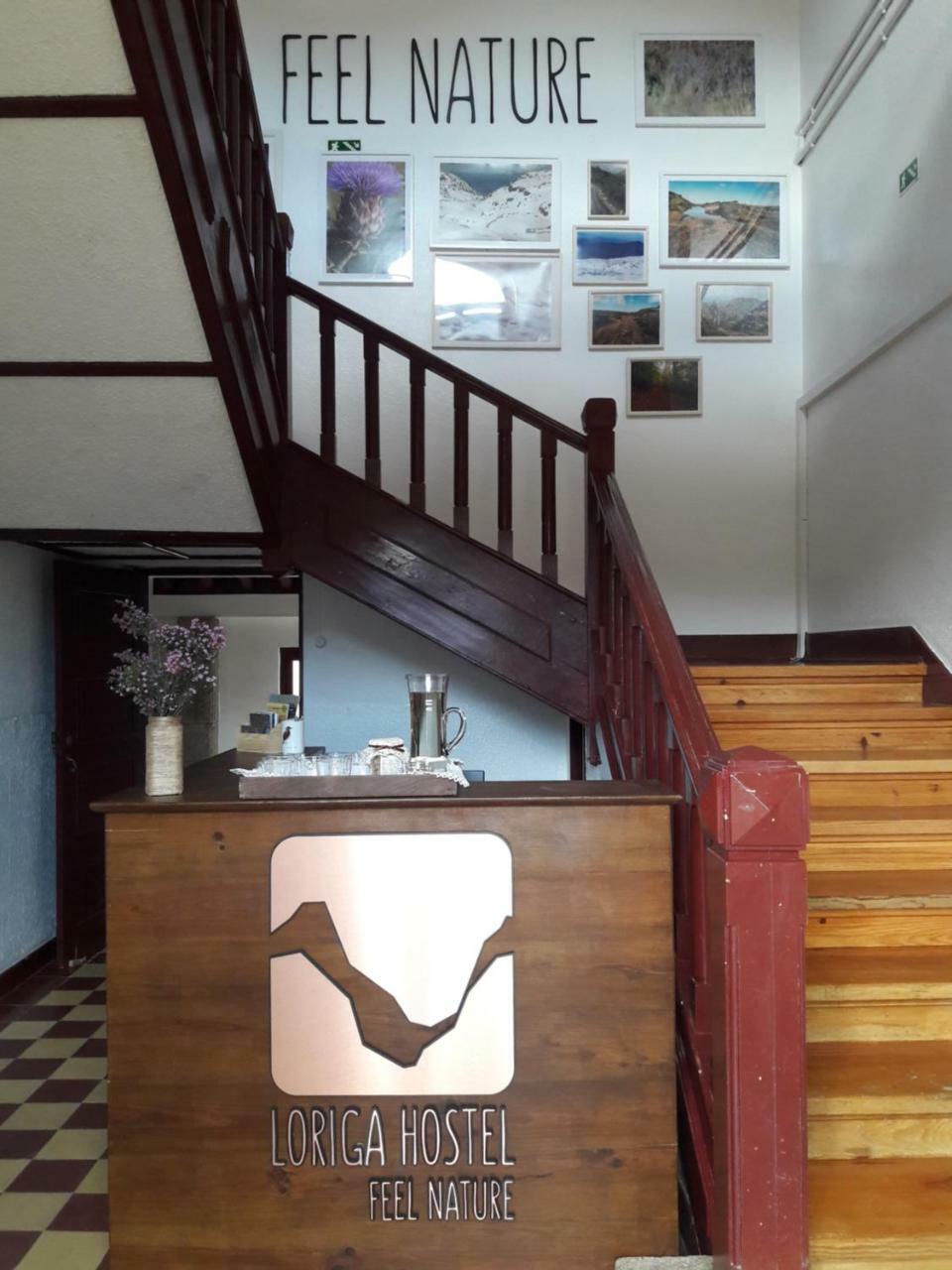- Feel Nature Hostel *