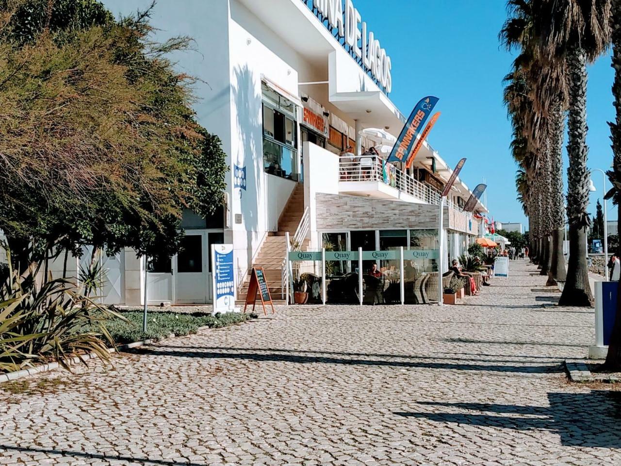 Apartamento Apartment R. Teixeira Da Mota *