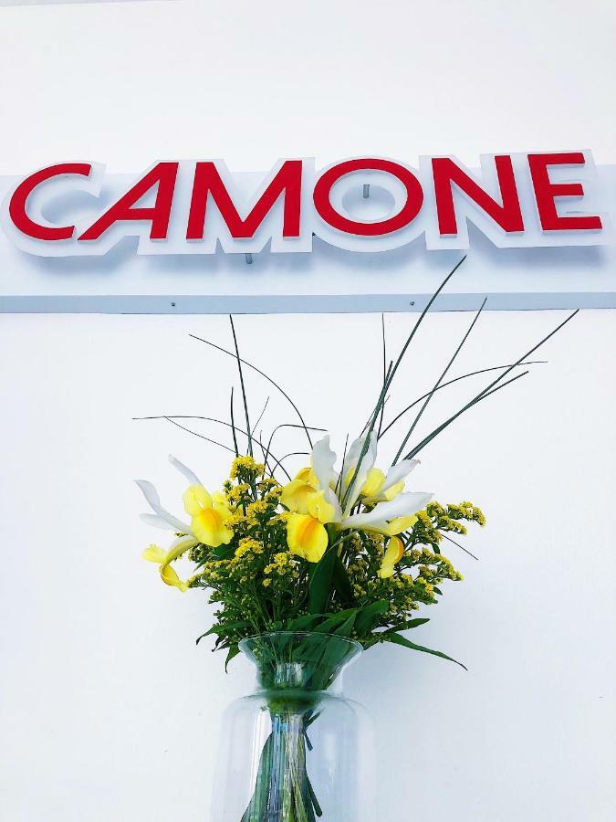 Camone Apartamento Apartment