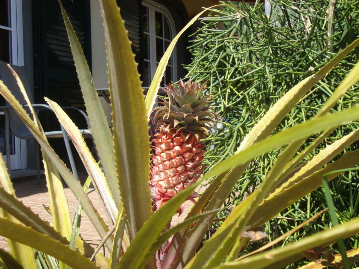 Holiday home Blooming Botanic