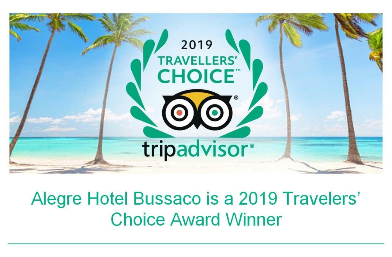 Alegre - Bussaco Boutique Hotel