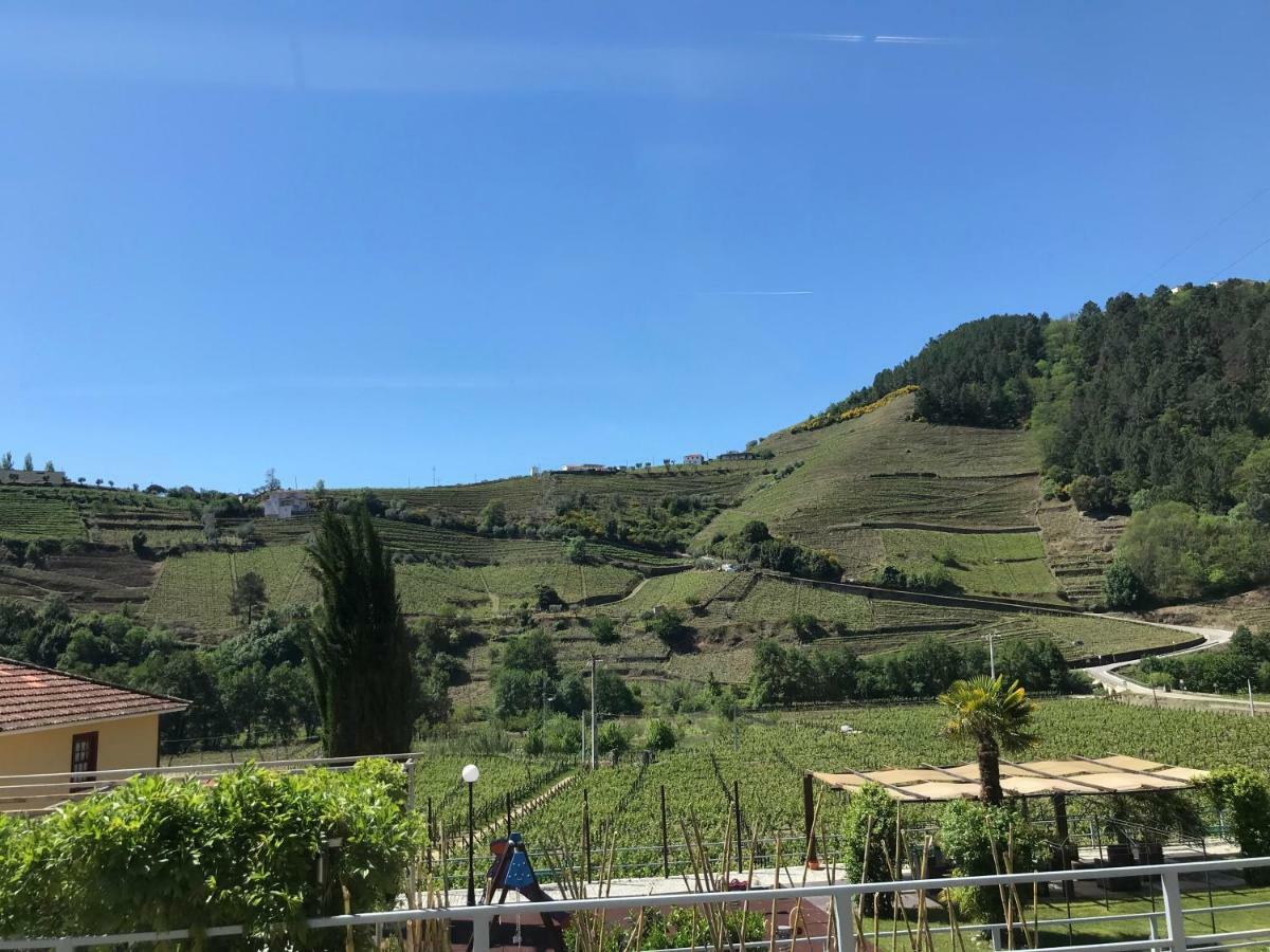 Solar Quinta Da Portela - Douro Country house