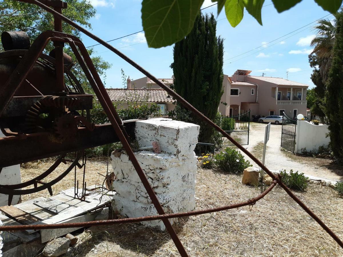 Guest house Casa Rosa Montes 3*