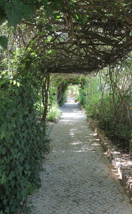Canavial Garden (adults Only) 3*
