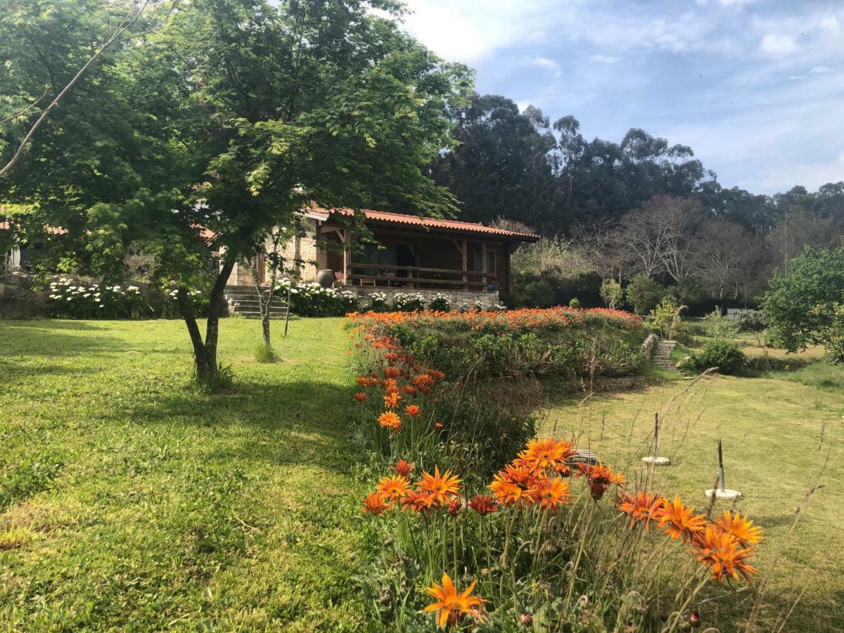 Quinta Da Marouba Fojo Lobal