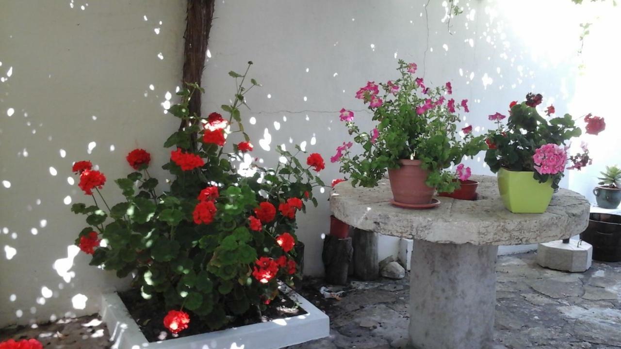 Patio Mateus *