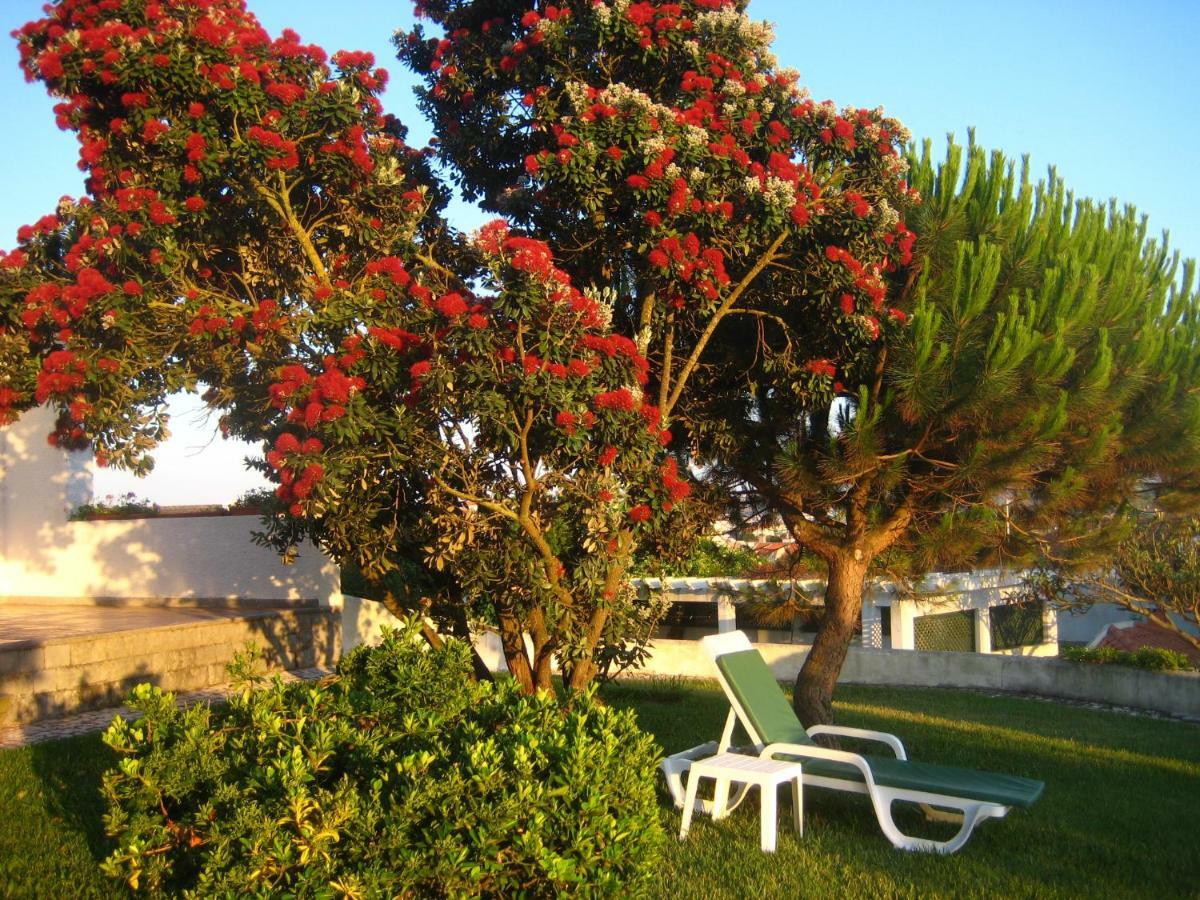 Patio Mateus Holiday home *
